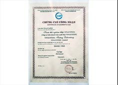 Chứng chỉ 12